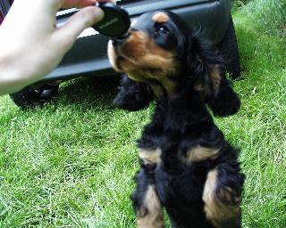Das will ich haben...
